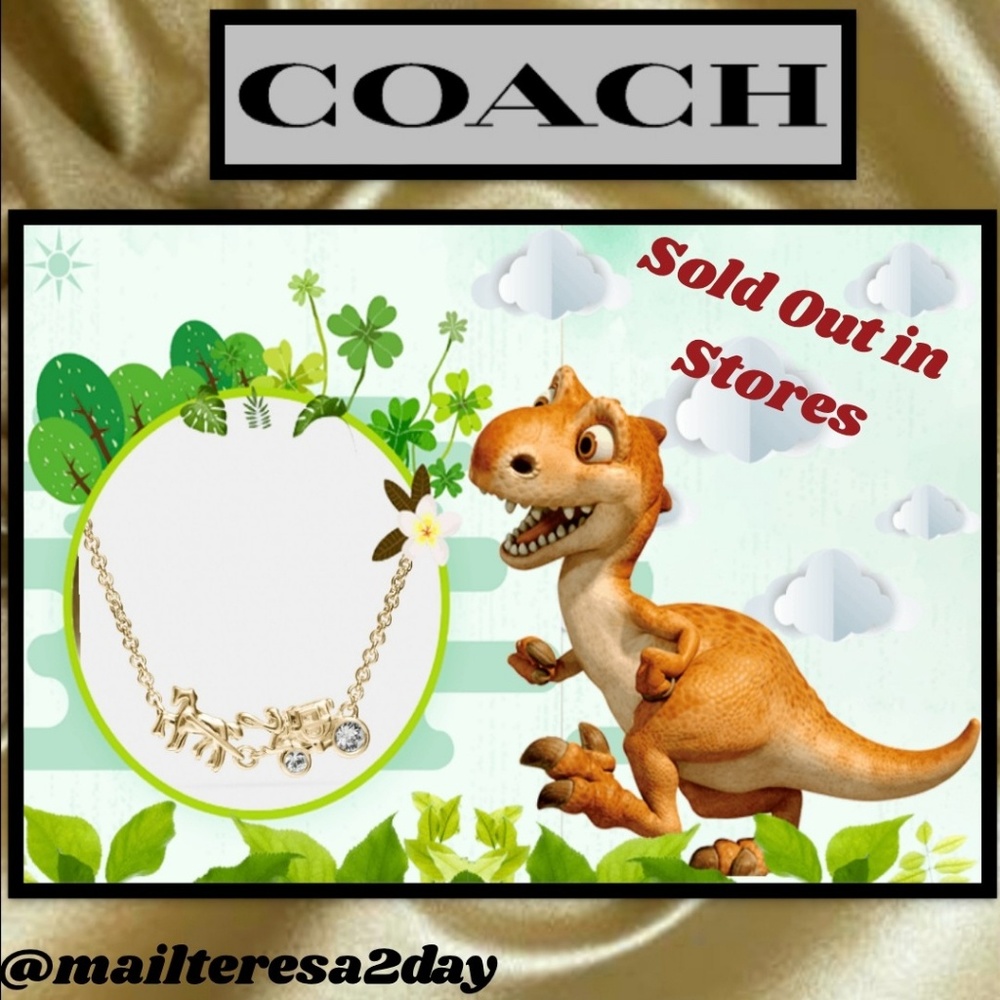 COACH 💝 Demi-Fine Horse & Carriage Chain Necklace